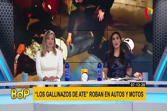 Capturan a ´Los gallinazos´, delincuentes que operaban por todo Ate