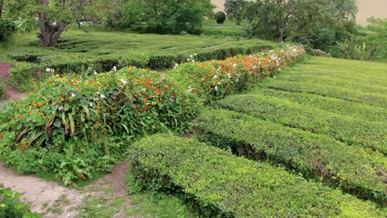 Le tour de São Miguel