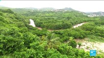 La tempête Dorian fait des dégâts en Martinique et menace Porto Rico