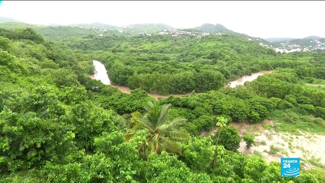La tempête Dorian fait des dégâts en Martinique et menace Porto Rico