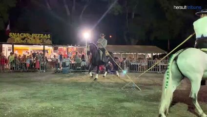 soirée Flamenco chez Mourillou à Agde