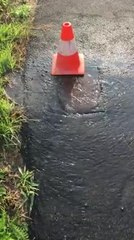 Mons : en pleine sécheresse, de l'eau s'écoule en rue depuis 3 jours