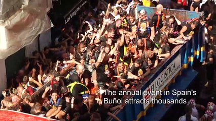 Crowds go wild at La Tomatina festival in Spain