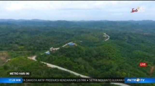 Ibu Kota Pindah, Bagaimana Nasib Hutan & Orangutan di Kaltim?