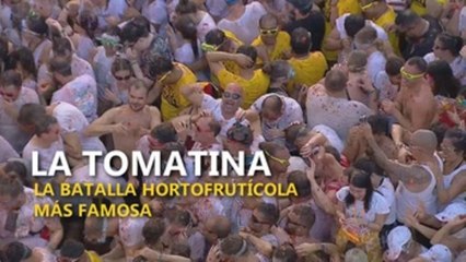 La Tomatina colorea el fin del verano en Buñol con 145.000 kilos de munición