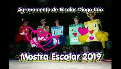 Agrupamento Diogo Cão 2019