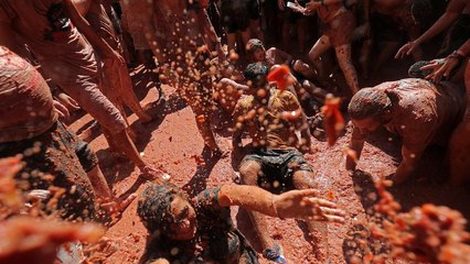 برگزاری جشنواره شهر بونل؛ ۱۴۵ تُن گوجه‌فرنگی له و لورده شد