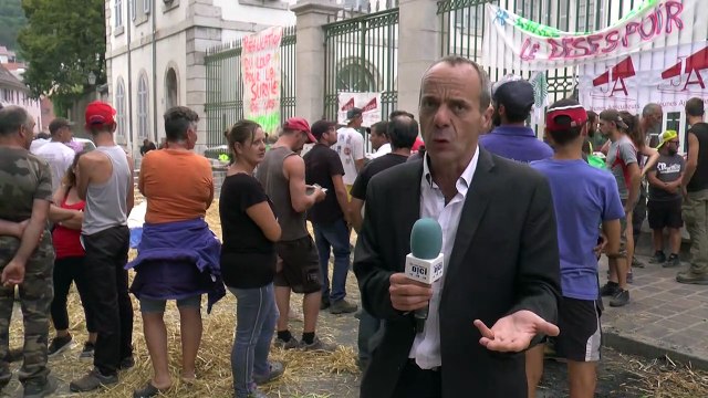 D!CI TV / Loup : les éleveurs continuent le mouvement