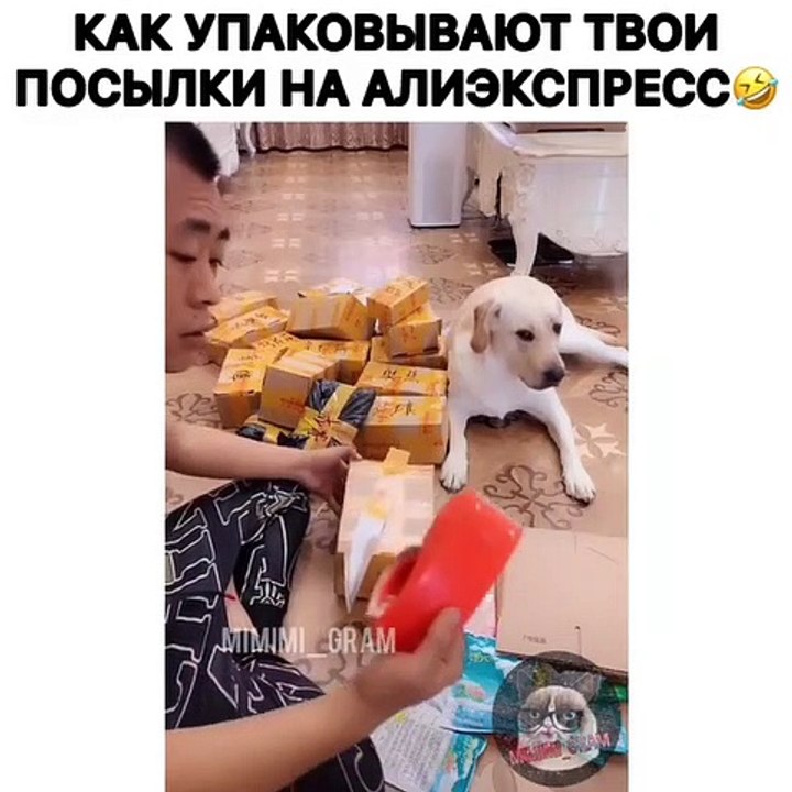 A mourir de rire ! Regardez ce que ce chien va faire