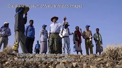 Skull find in Ethiopia yields new clues on how humans evolved
