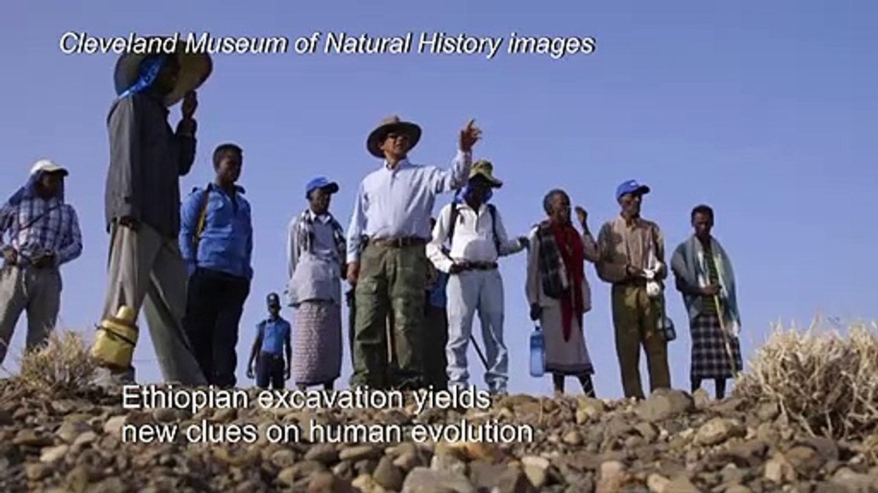 Skull find in Ethiopia yields new clues on how humans evolved