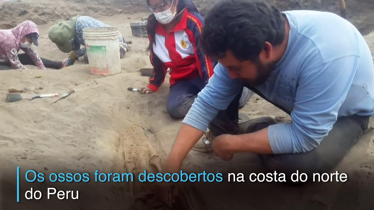 Ossos descobertos