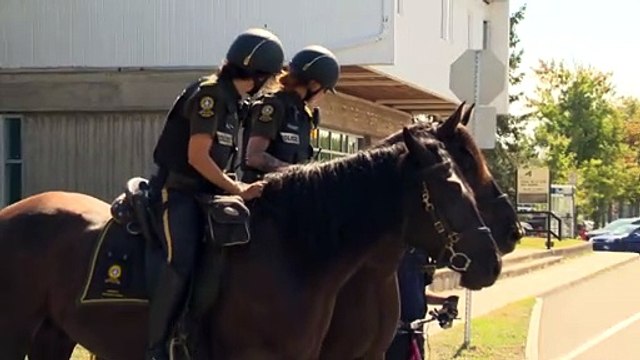 L'équipe équestre de la SQ de passage à Rivière-du-Loup