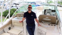 2019 Sailfish 325 DC Boat For Sale at MarineMax Boston, MA