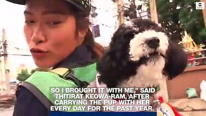 Street sweeper brings her dog to work every day