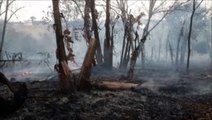 Corpo de Bombeiros é mobilizado em incêndio no Turisparque