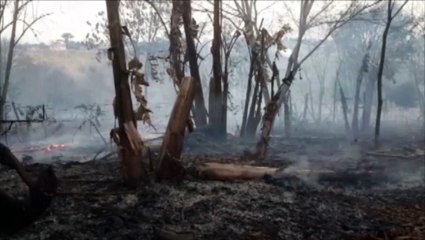 Corpo de Bombeiros é mobilizado em incêndio no Turisparque