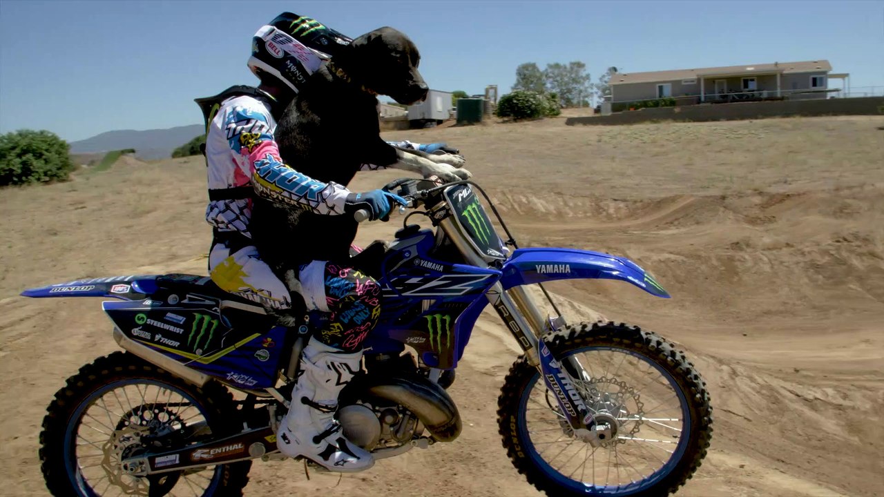 Dirt Biking with the Dog