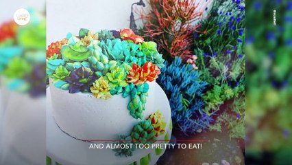 These Succulent Cakes Are the Newest Cake Trend Sweeping Social Media