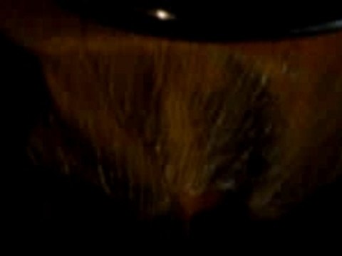 Mohamed lamine fat dak lwakt