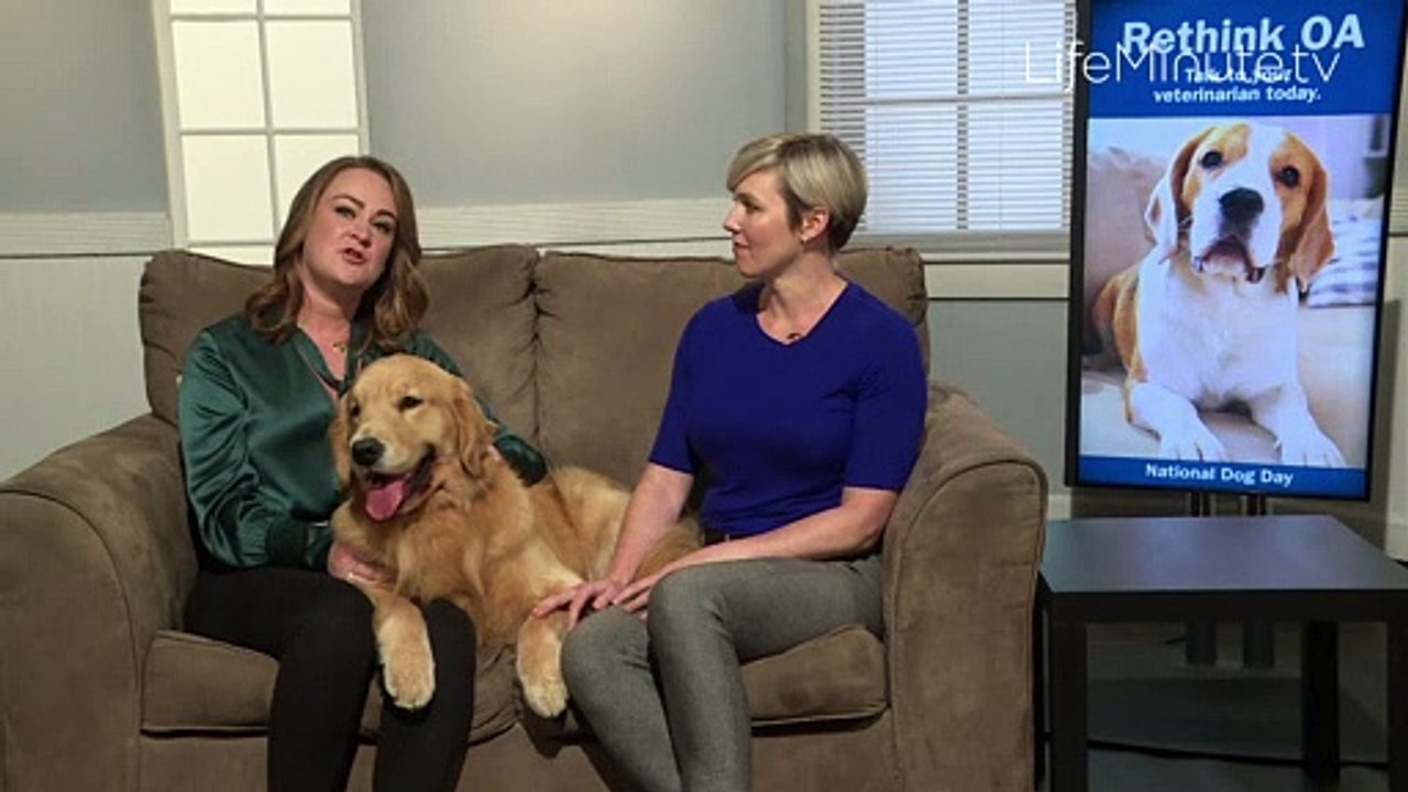 Spot the Signs of Canine Osteoarthritis in Your Dog