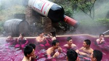 This Japanese Spa Lets You Swim in a Pool of Red Wine