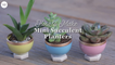 These Mini Succulent Planters Are the Cheapest and Cutest Way to Display Succulents