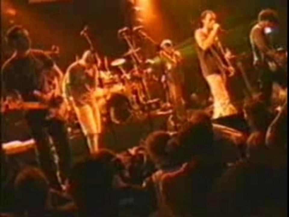 Merzhin Les nains de jardin Live