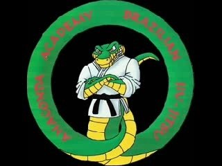 Anaconda Lyon Brazilian Jiu-jitsu Academy
