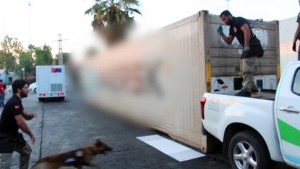 Mersin Limanı'nda yaklaşık 24 kilogram kokain yakalandı