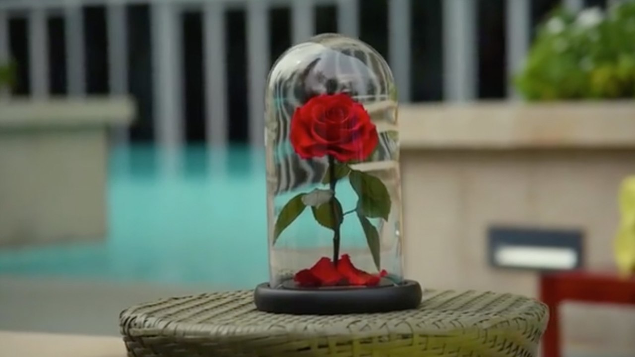 These Real Enchanted Roses Will Last 3 Magical Years