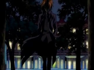 AMV Black cat presentation