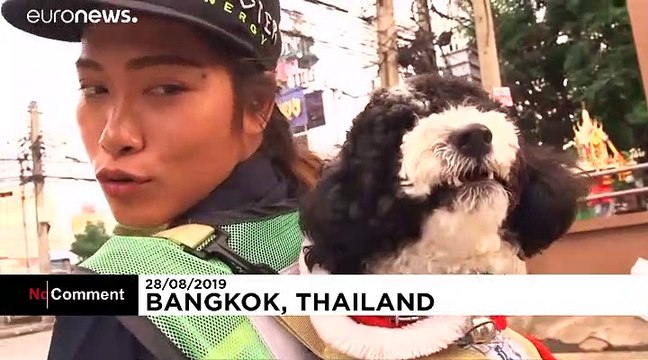 شاهد: عاملة نظافة تايلاندية تقوم بواجبها يوميا حاملة مازدا على ظهرها