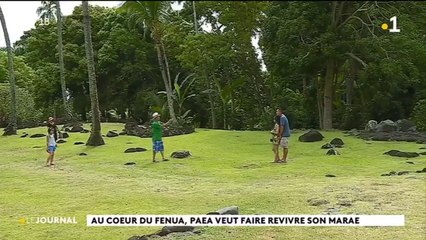 Au cœur du fenua : le marae Arahurahu