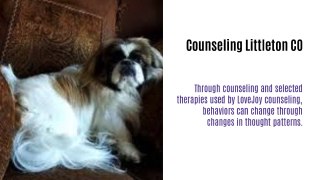 Counseling Englewood CO|Therapist Englewood CO