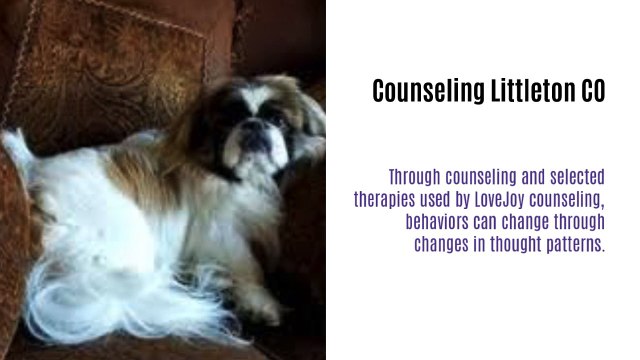 Counseling Englewood CO|Therapist Englewood CO