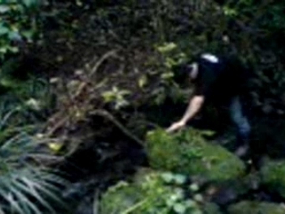 MOV00003