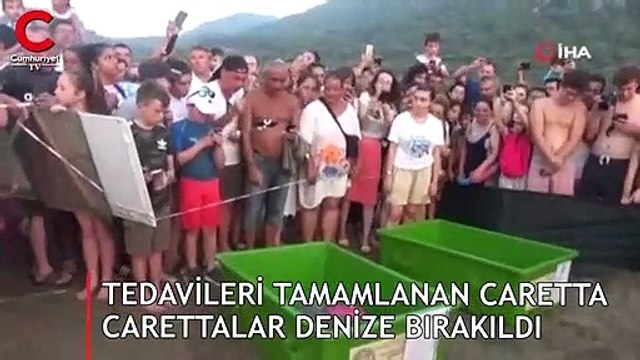 Tedavileri tamamlanan caretta carettalar denize bırakıldı