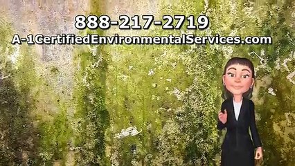 Mold Testing Garden Grove