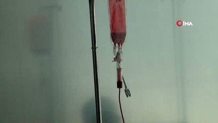 İsveç'te kene ısırdı, hayatı kabusa döndü