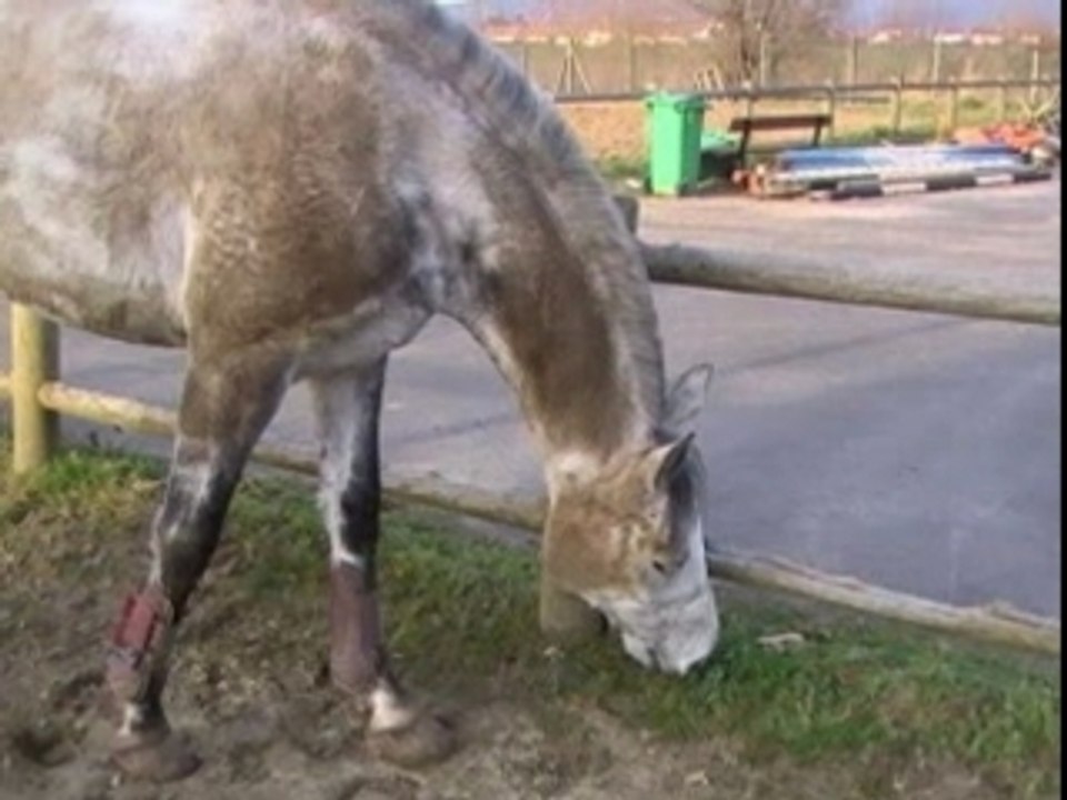 Le 27-01-08 Liberté