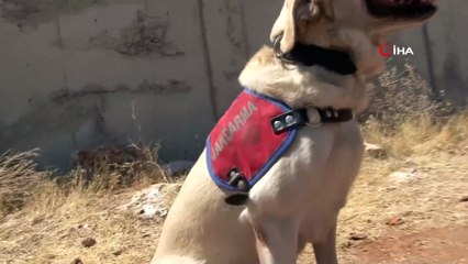 Onlar Kıran-2 operasyonunda teröristlerin korkulu rüyası 'Miki ve Cingöz'