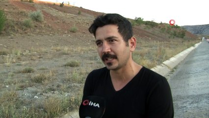 Nesli tükenmekte olan Vaşak, otomobilin çarpmasıyla telef oldu