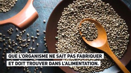 Notre temps_Graines et huile de chanvre... Des bienfaits stupéfiants!