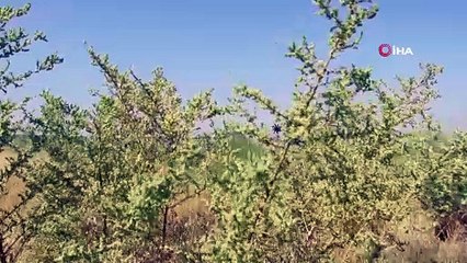 - Türk Hava Kuvvetleri’nin uçuş ekibi Azerbaycan’a geldi