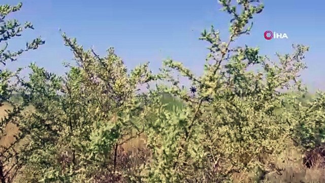 - Türk Hava Kuvvetleri’nin uçuş ekibi Azerbaycan’a geldi