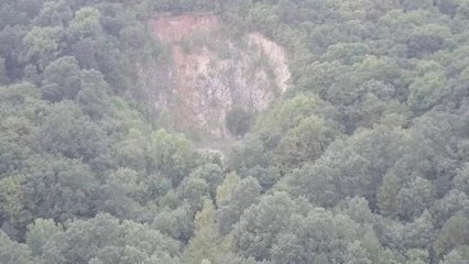Bosques amenazados también en Europa