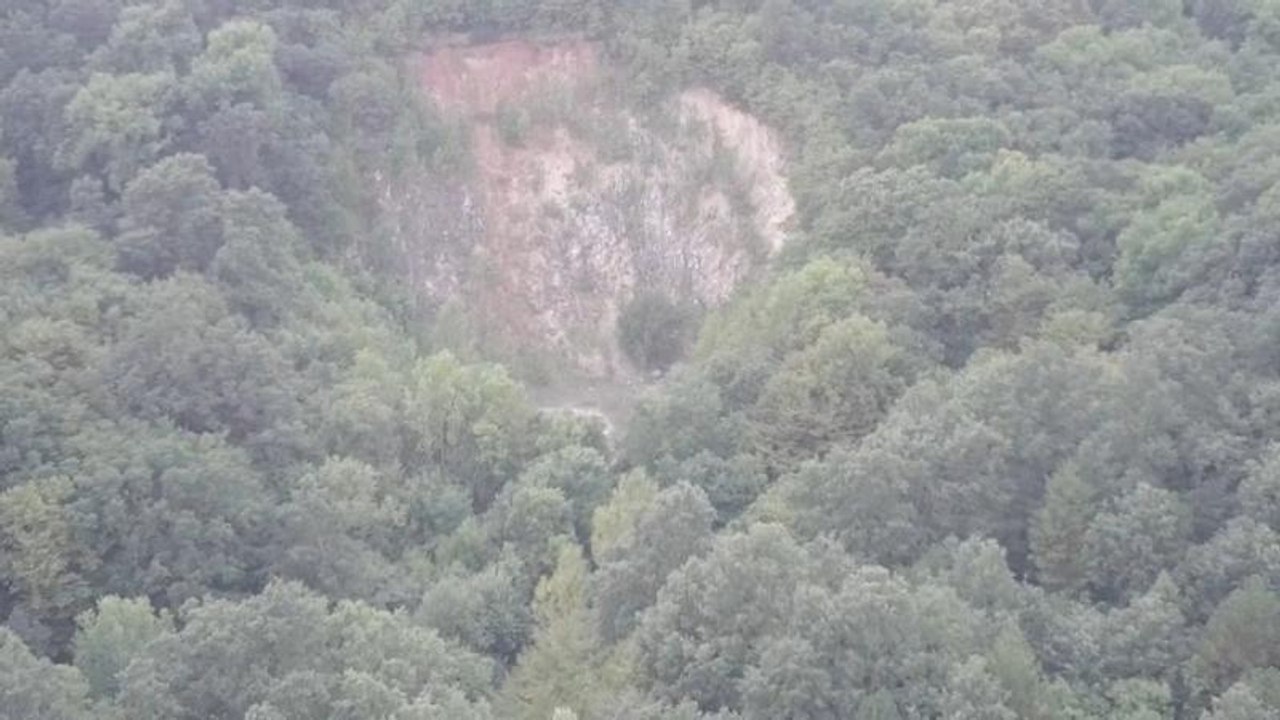 Bosques amenazados también en Europa