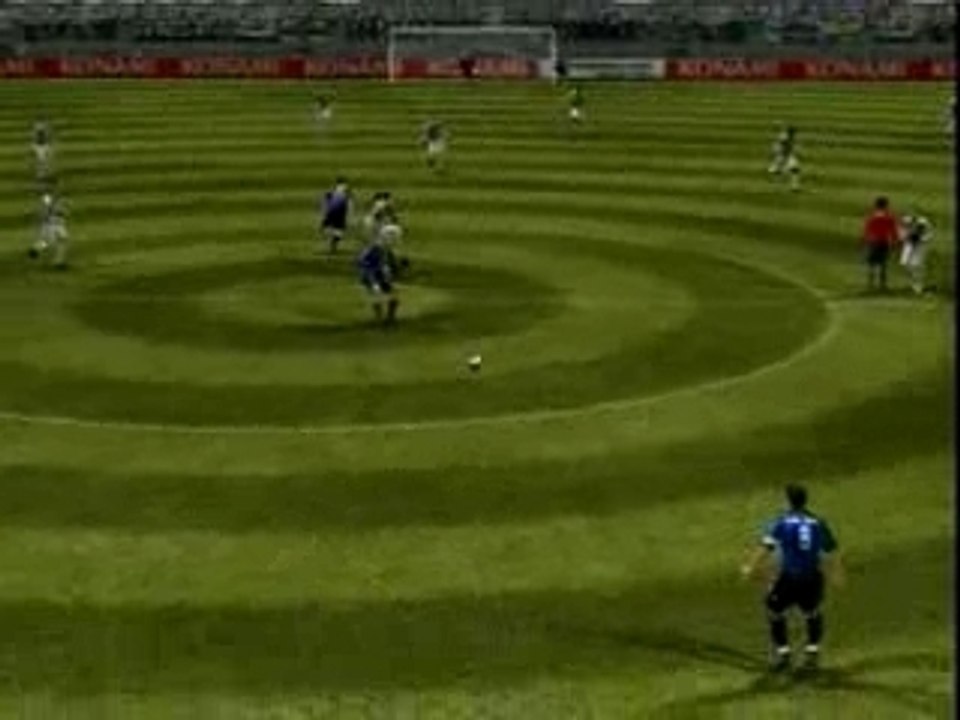 NET lapinfroid  : But de Floro Flores