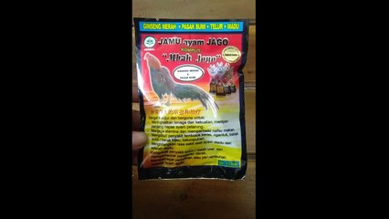 WA 085227902020 jamu ayam bangkok mbah joyo Lampung